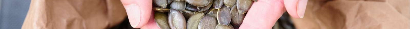 Getrocknete Kürbiskerne für unser steirisches Kernöl aus eigenem Anbau.