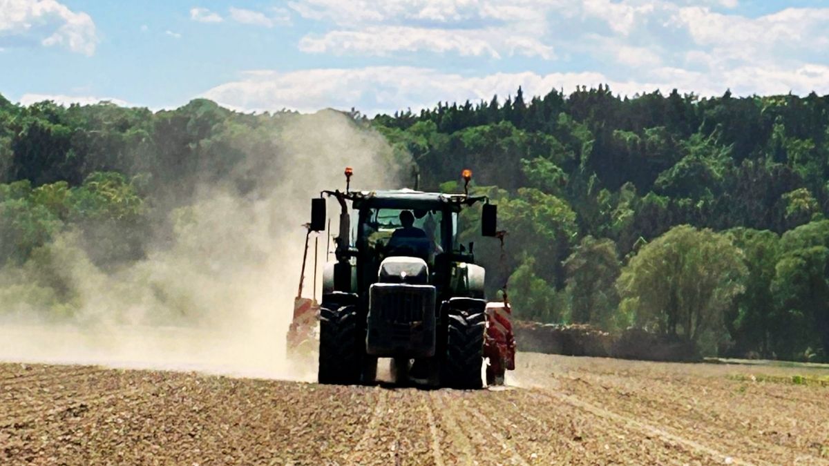 Traktor bei der Aussaat der Steirischen Kürbiskerne für das Steirische Kürbiskernöl g.g.A. der Familie Lang – der Beginn eines neuen Kürbisjahres.